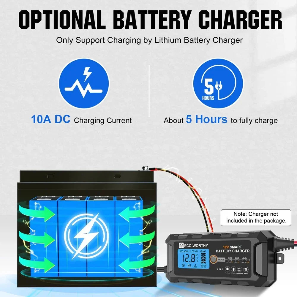 ECO-WORTHY 12V 50Ah Lithium Iron Phosphate Battery