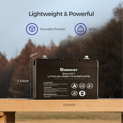 Renogy 12V 100Ah Smart LiFePO4 Lithium Iron Phosphate Battery